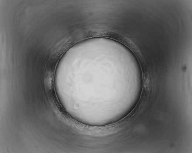 X0000115620026200912011625