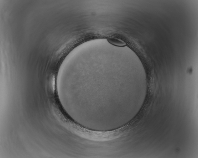 X0000115620027200912011625