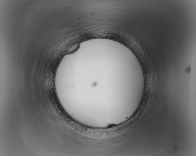 X0000115620029200912011625