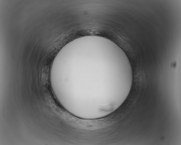 X0000115620030200912011625