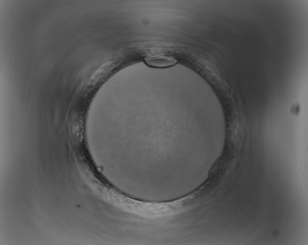 X0000115620031200912011625