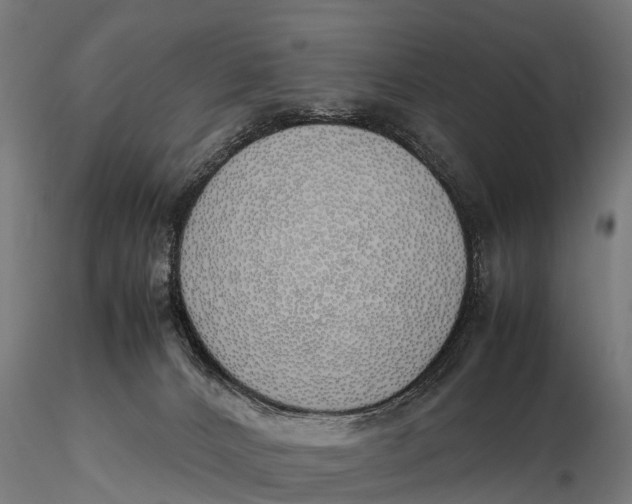 X0000115620032200912011625