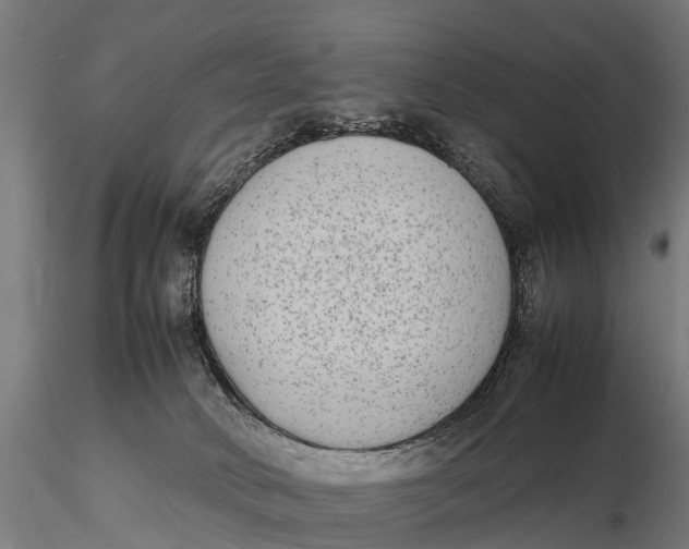 X0000115620034200912011625