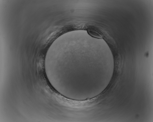 X0000115620035200912011625