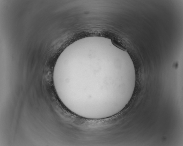 X0000115620037200912011625