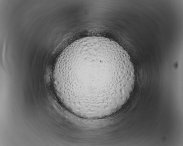 X0000115620038200912011625