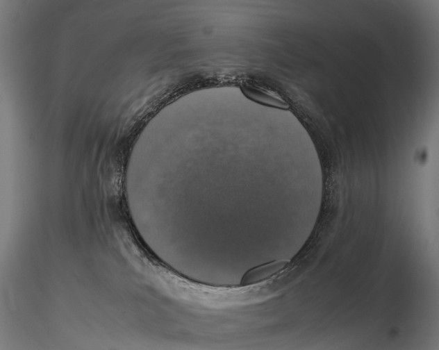 X0000115620039200912011625