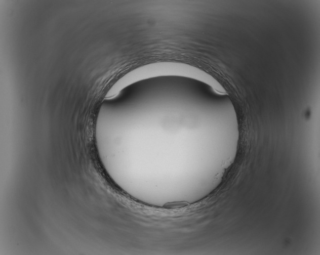 X0000115620043200912011625