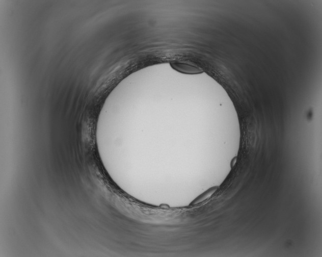 X0000115620044200912011625