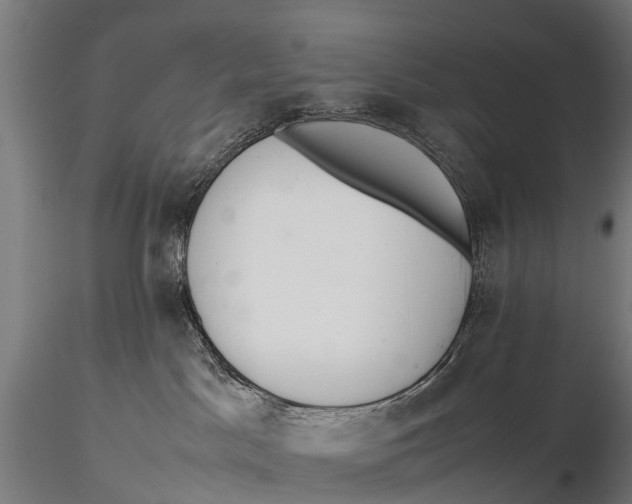 X0000115620045200912011625