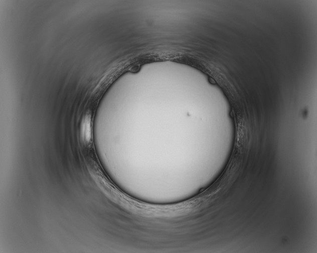 X0000115620046200912011625