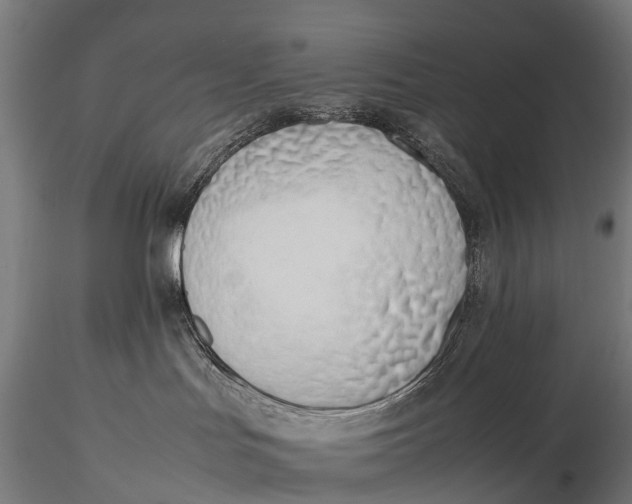 X0000115620047200912011625