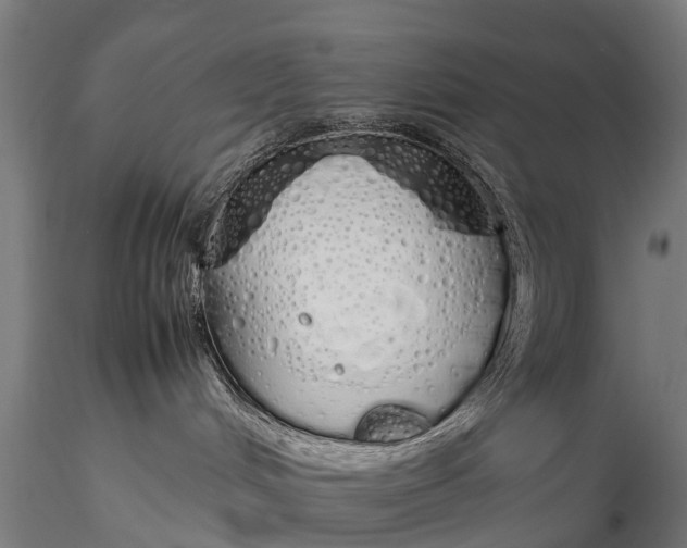 X0000115620048200912011625