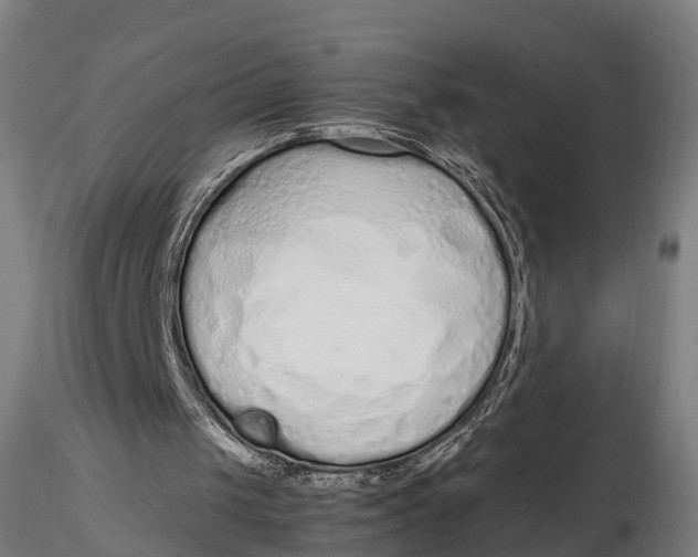 X0000115620049200912011624