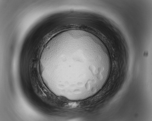 X0000115620050200912011624