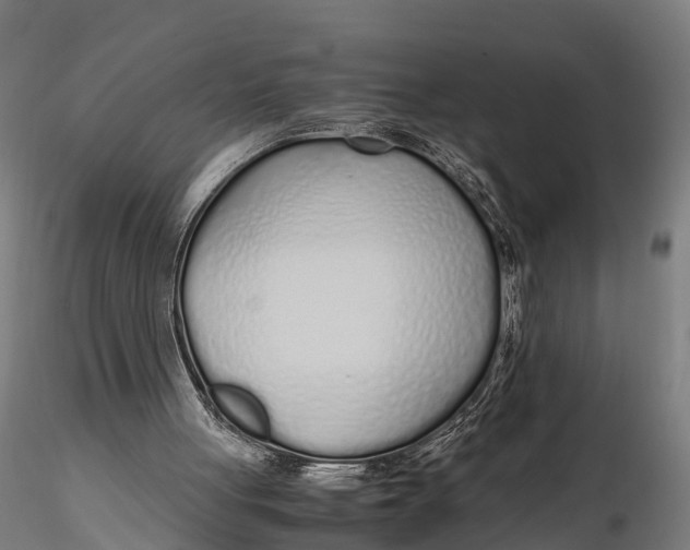 X0000115620051200912011624