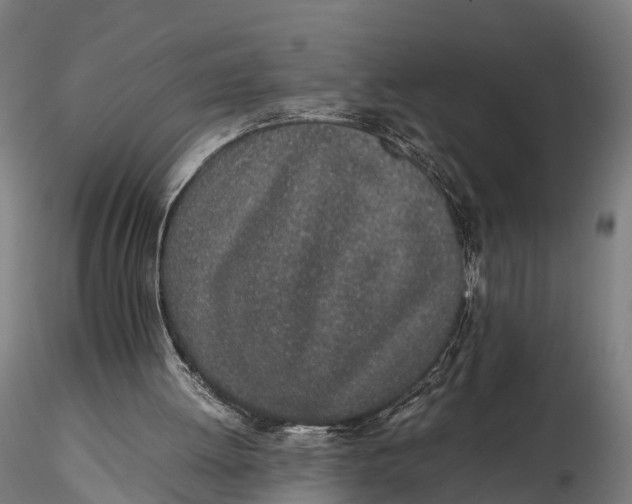 X0000115620052200912011624