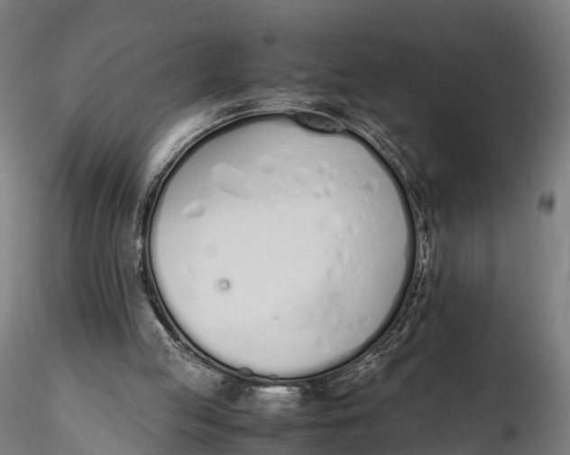 X0000115620053200912011624