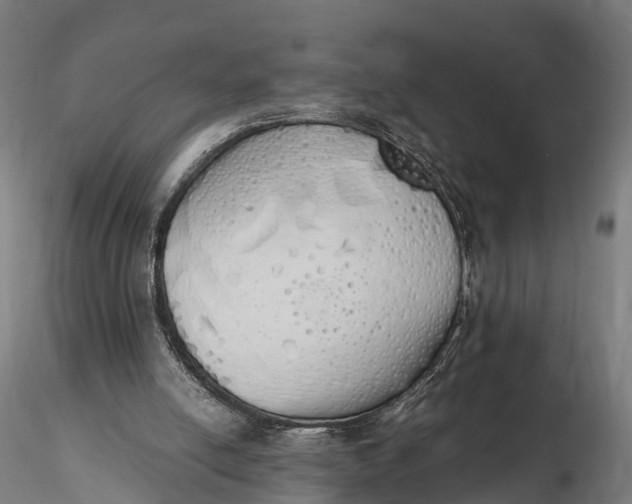 X0000115620054200912011624