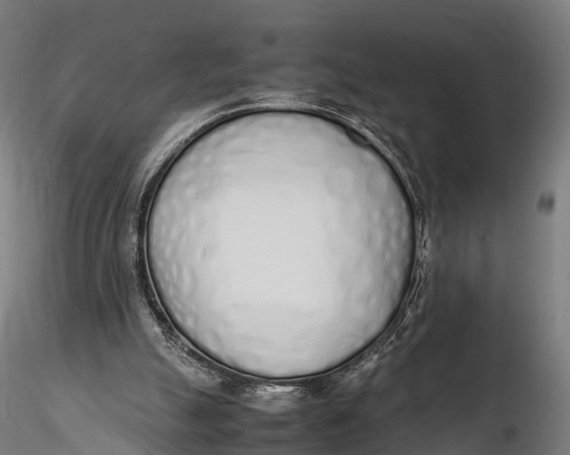 X0000115620055200912011624