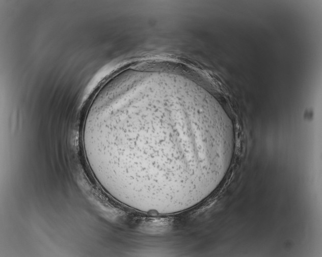 X0000115620056200912011624