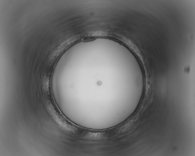 X0000115620057200912011624