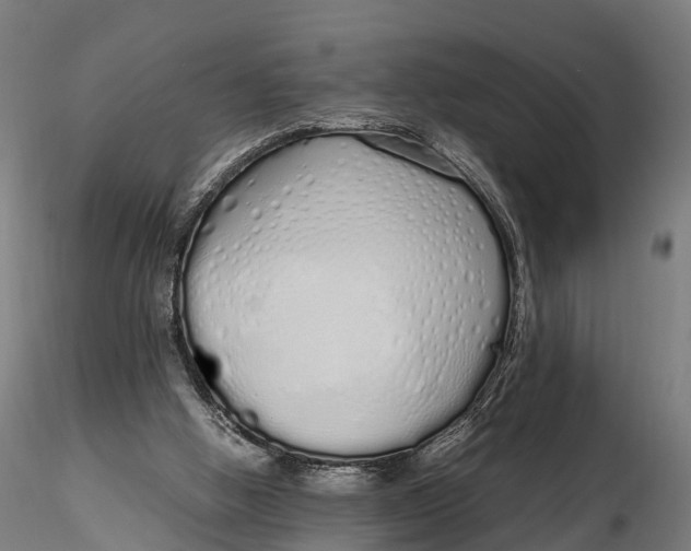 X0000115620058200912011624