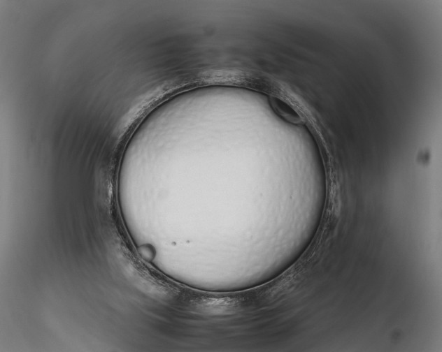 X0000115620059200912011624