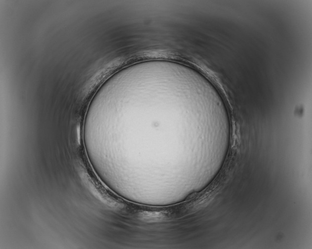 X0000115620061200912011624