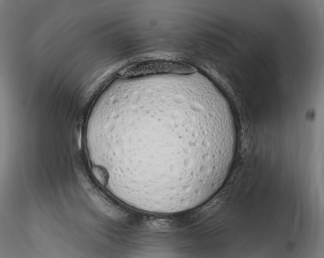 X0000115620062200912011624