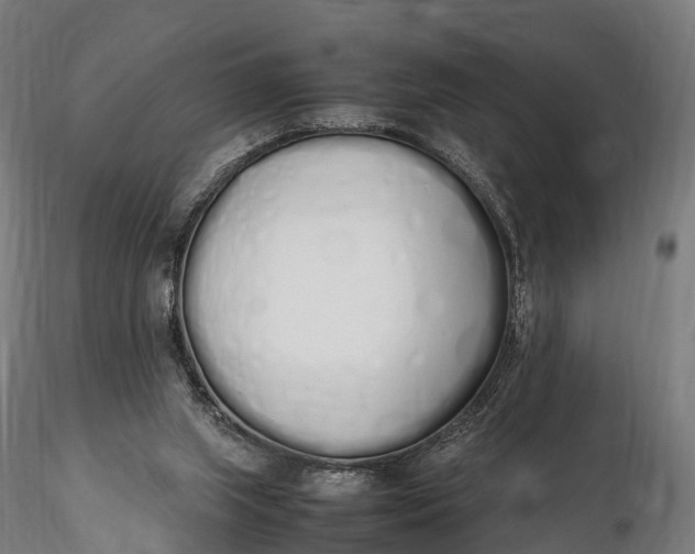 X0000115620063200912011624