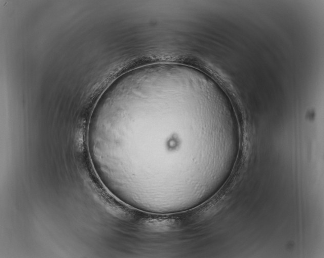 X0000115620065200912011624