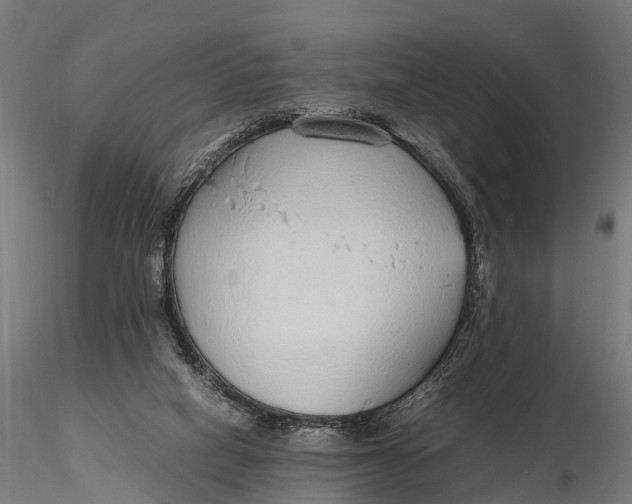 X0000115620066200912011624