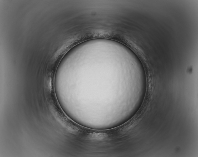 X0000115620067200912011624