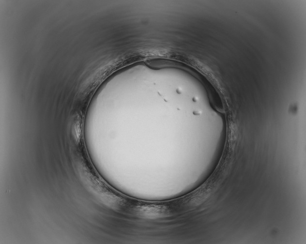 X0000115620069200912011624