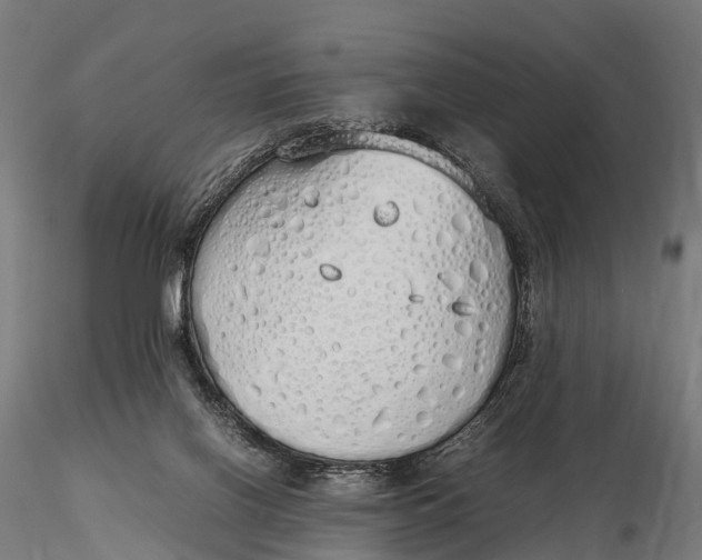 X0000115620070200912011624