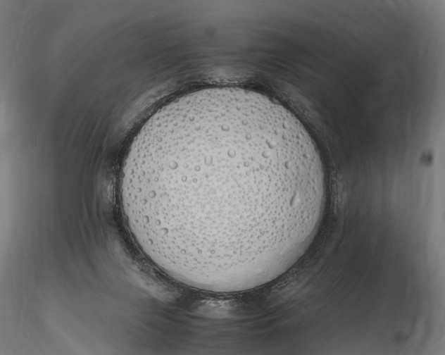 X0000115620071200912011624