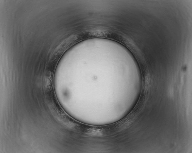 X0000115620073200912011624