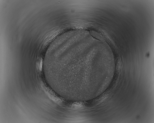 X0000115620076200912011624