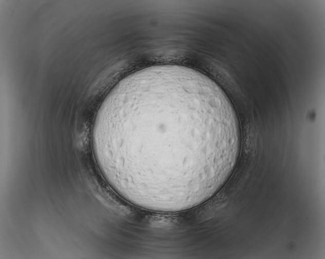 X0000115620077200912011624