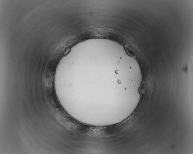 X0000115620078200912011624