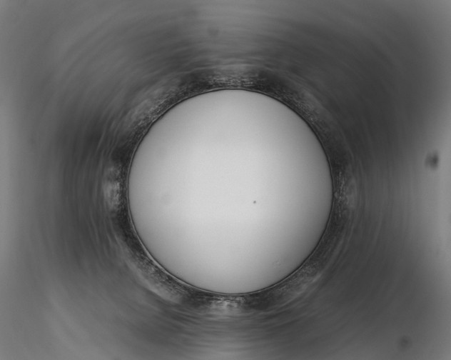 X0000115620080200912011624