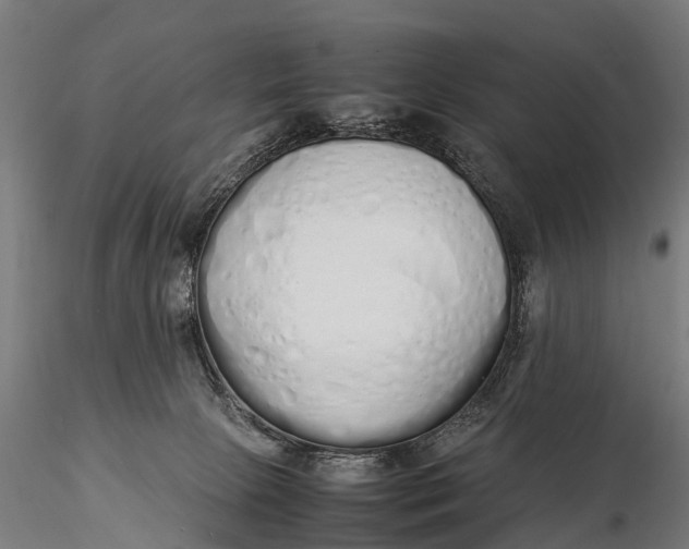 X0000115620081200912011624