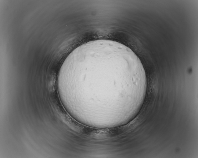 X0000115620082200912011624