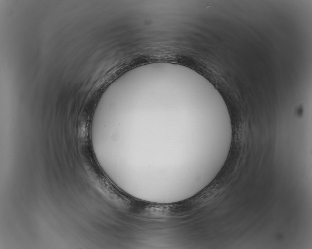 X0000115620084200912011625