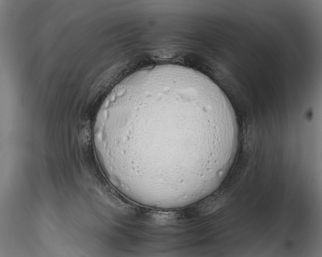 X0000115620085200912011625