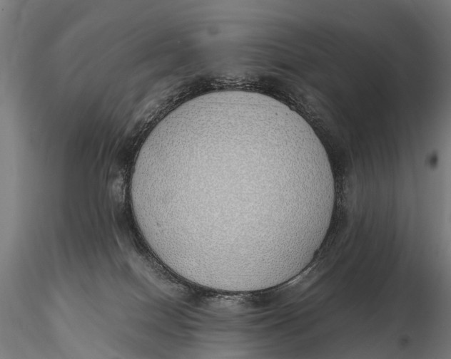 X0000115620086200912011625