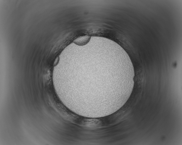 X0000115620087200912011625