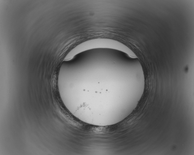 X0000115620092200912011625