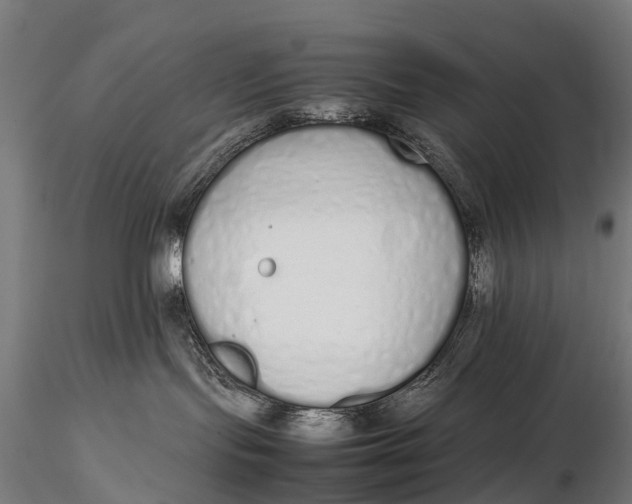 X0000115620095200912011625